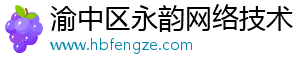 渝中区永韵网络技术