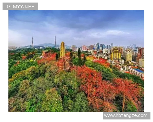 广州与杭州的城市魅力对比探讨与文化交流的深度分析