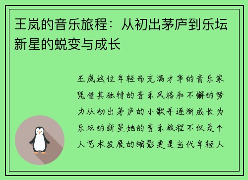 王岚的音乐旅程：从初出茅庐到乐坛新星的蜕变与成长