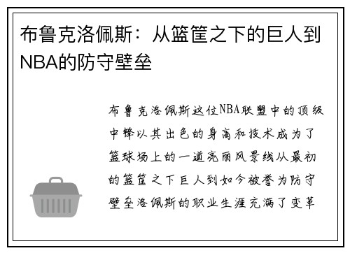 布鲁克洛佩斯：从篮筐之下的巨人到NBA的防守壁垒