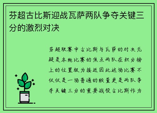 芬超古比斯迎战瓦萨两队争夺关键三分的激烈对决