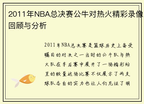 2011年NBA总决赛公牛对热火精彩录像回顾与分析