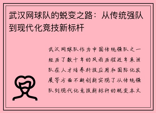 武汉网球队的蜕变之路：从传统强队到现代化竞技新标杆