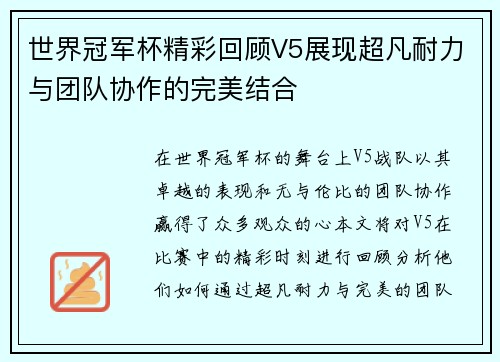 世界冠军杯精彩回顾V5展现超凡耐力与团队协作的完美结合