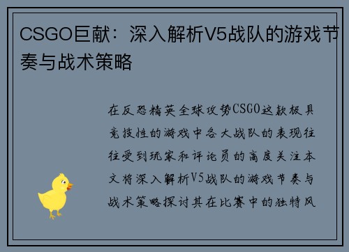 CSGO巨献：深入解析V5战队的游戏节奏与战术策略
